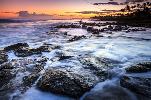 A lone surfer exits the ocean across lava rocks with king tides washing in and out just after sunset.