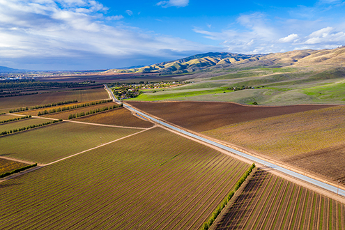 Aerial drone photo of expansive vineyards rows of autumn colors at the foothills of the Gabilan Mountains.