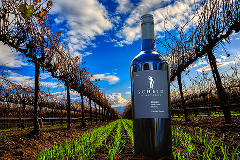 Product photo of a Scheid wine bottle in its vineyard of origin for marketing.