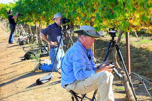 Hahn Wine Workshop participants sitting and photographing vineyards.