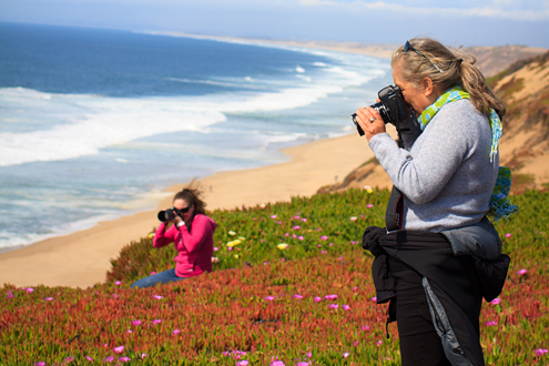 Students photographing a Fort Ord Dunes