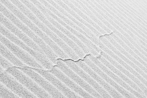 Fort Ord Dunes Workshop example of macro image of dune ripples