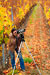 Workshop photographer standing in fall-colored vineyard.