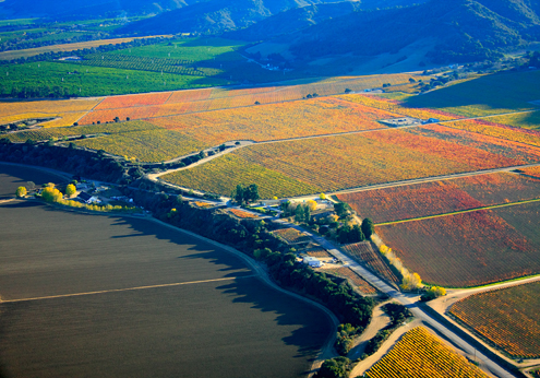 500 feet above the autumn-colored vineyards of Talbott Sleepy Hollow, Estancia Stonewall, Lucia Highlands, and Pessagno Four Boys with the Salinas Valley, River Road, and the Santa Lucia Mountains. 