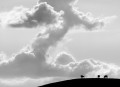 Storm clouds forming a Z with a silhouette of a hill and cows in the lower right corner.
