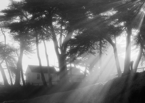 Ocean mist and fog burn off by the heat of the rising sun through coastal cypress trees. In the cabin, Mr. Ranger greets a new day. 