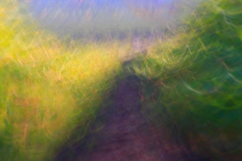 Lens Painting is a “triple-motion-blur” abstract technique I’ve been developing since 2006 to get very impressionist, painterly, and vibrant energy images. It works great in a vineyard environment. 