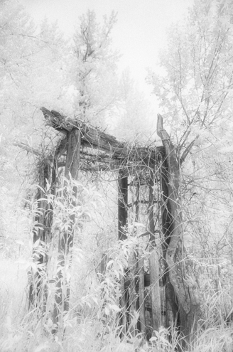 This gateway to an overgrown garden reminded me of something out of J.R.R. Tolkien. Shooting it in infrared adds a magical quality to the scene—how I saw it. Kevin was the guy living in the nearby cabin. 
