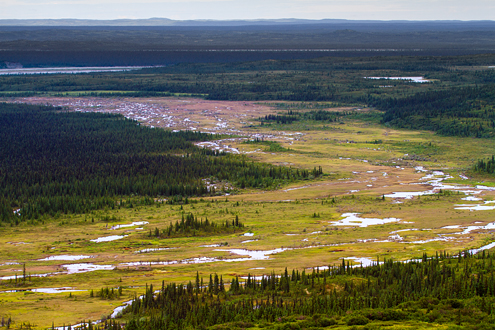 Snow melting under the summer sun in the path of what used to be a glacier but is now green forest and colorful tundra. 