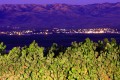 Grape vines with city lights and mountains in the background.