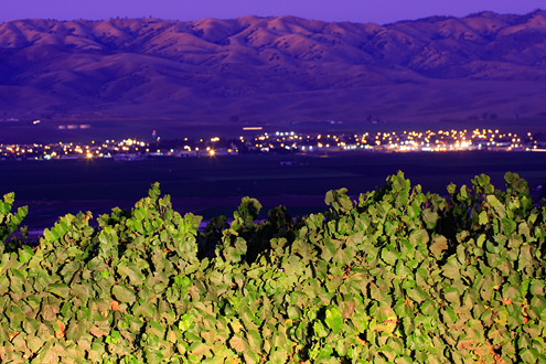 The city lights of Gonzales come on in the Salinas Valley with pink Gabilan Mountains and a purple dusk sky with Chardonnay vines lit up by headlights. 