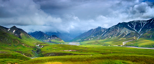 The visitor center at Eielson is a great place to park for awhile, and breath in the whole experience of this wilderness. There are hiking trails where people shrink in the distance and seem to just vanish into landscape. And a few each year actually do never to be heard from again. 
