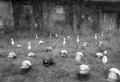 Police helmets and bowling pins litter the grass outside an overgrown concrete warehouse.