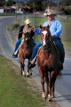 2 cowboys riding horses along a road.