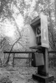 Telephone booth in the middle of wilderness.
