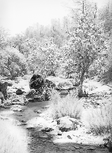 It was so searing hot on this June summer day that I portrayed the white hot heat as snow for an ironic twist along the Pecheco Creek North Fork up in the Diablo Mountains. 