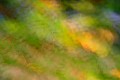 Abstract image of green and orange grape leaves in a vineyard.