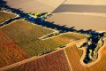 Aerial photo of vineyards and other farm land with autumn colors.