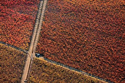 500-1,000 feet above the autumn-colored vineyards of the River Road Wine Trail. This collection of more than 100 photos celebrates the Monterey wine culture from January to December. 