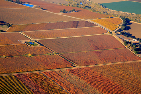 500-1,000 feet above the autumn-colored vineyards of the River Road Wine Trail. Includes Talbott Sleepy Hollow, Estancia Stonewall, and Lucia Highlands vineyards with the Salinas Valley and River Road. 