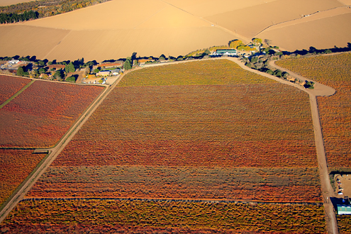500-1,000 feet above the autumn-colored vineyards of the River Road Wine Trail. Includes Talbott Sleepy Hollow and Pessagno Four Boys vineyards with the Salinas Valley and River Road. 