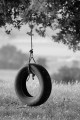 Tire swing hangs from tree branches.