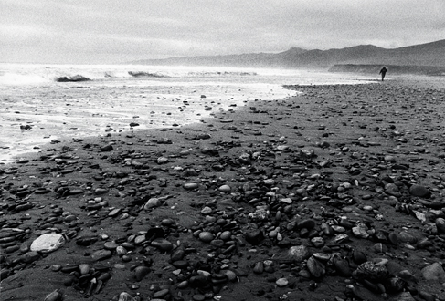 This beach park is normally swarming with humans in their RVs, but on this stormy winter weekend, it was nearly deserted save one lone drifter juxtaposed with a single white rock on a dark rocky beach. 