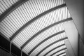 Abstract photo of curved ceiling.