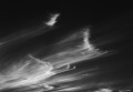Abstract white clouds in a black sky.