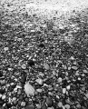 Thousands of rocks and pebbles on a beach.