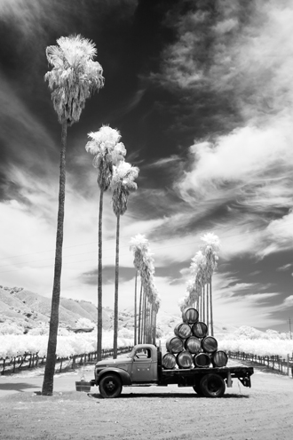 Palm trees, vineyard rows, John Steinbeck era truck, wine barrels… not only iconic for California, but also the signature image for the winery on their marketing materials—not this photo; this is my version of their brand photo using only infrared light. The winery was kind enough to leave this setup for all photographers to enjoy. 