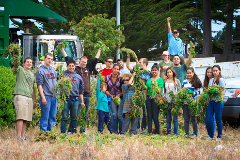 Earth Day Marina draws 240 volunteers to Locke-Paddon Park to remove invasive ice plant, plant native flora, pick up litter, and give many of the park facilities a fresh coat of paint. 