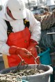 Fisherman preparing a fishing net on his boat.
