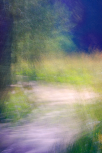 An abstract painterly scene of a trail leading out of a forest and into a meadow. The technique of painting with lens allows me to illustrate the abstract energy of a scene. 