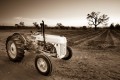An old tractor in front of tilled fields, oak tree, and sunset.