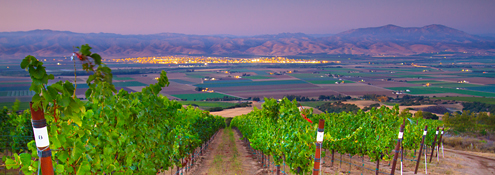 Looking down the vineyards of the Hahn SLH Estate Winery into the Salinas Valley to Soledad’s city lights and Pinnacles National Park nestled in the Gabilan Mountains. 