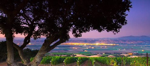 Looking down the vineyards of the Hahn SLH Estate Winery into the Salinas Valley to Soledad’s city lights and Pinnacles National Park nestled in the Gabilan Mountains. 