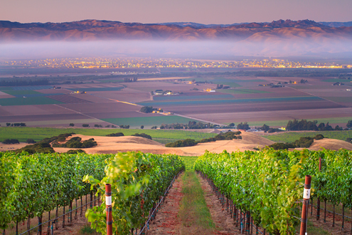 Looking down the vineyards of the Hahn SLH Estate Winery into the Salinas Valley to Soledad’s city lights shrouded in fog, and Pinnacles National Park nestled in the Gabilan Mountains. 