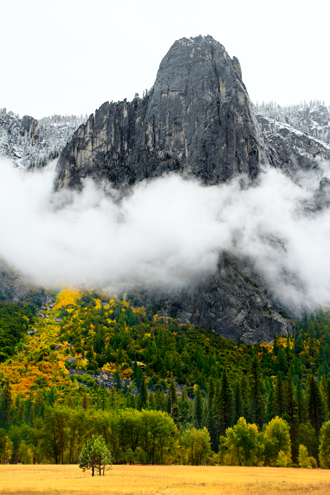 While photographing the autumn leaves rapidly changing to yellow, the first winter storm blew into the Sierras and began to clear after sunrise showing winter’s arrival at higher elevations. 