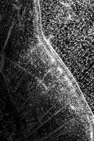 Part of a black and white portfolio of landscape and abstract nature photographs depicting Science Fiction-like imagery from distant galaxies to Earth’s prehistoric natural history. This photograph was accepted into the 2014 Center for Photographic Juried Portfolio Exhibit, and recognized by the International B&W Spider Awards. 