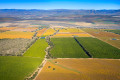 Aerial photo of vineyards changing autumn colors in the Steinbeck Country.