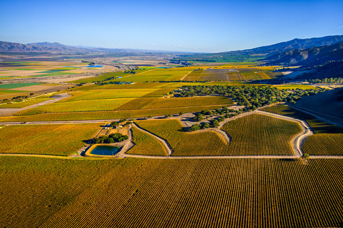 Flying between 200-1,500 feet above the famous Santa Lucia Highlands AVA in Monterey County’s Salinas Valley, this aerial photo includes Pinot Noir and Chardonnay vineyards of Talbott’s Sleepy Hollow, Big Pond River Road, and Mer Soleil. 
