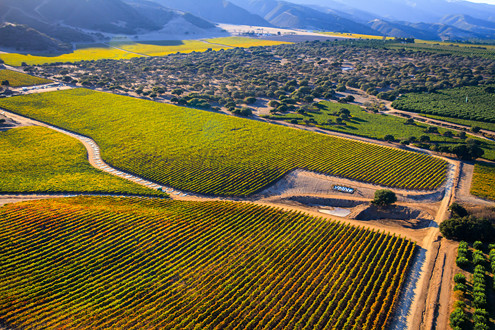 Flying between 200-1,500 feet above the famous Santa Lucia Highlands AVA in Monterey County’s Salinas Valley, this aerial photo includes Pinot Noir and Chardonnay vineyards of Vinge Monte Nero along the River Road Wine Trail. 