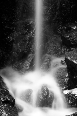 A micro waterfall trickles in a Big Sur forest on a rainy day. 