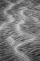 Unusual texture across a sand dune.