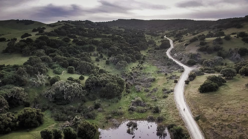 Aerial photo of the southern edge of the Fort Ord National Monument from a drone. 