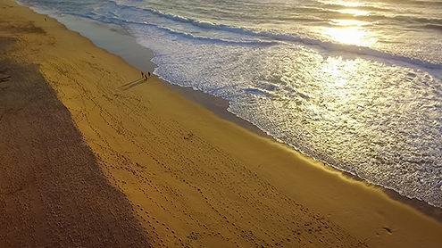 Sunset walk on a tranquil beach. Aerial view of strawberry fields, coastal dunes and beach. FAA certified sUAS/Drone photography. 