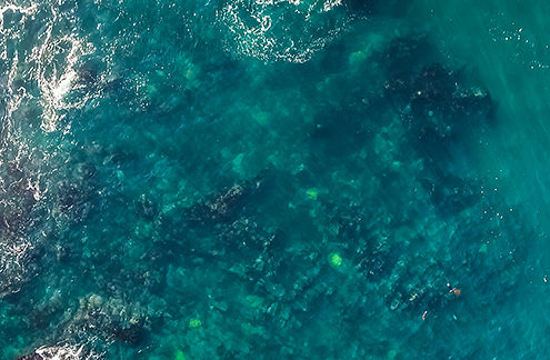 Looking down at the surf washing in and out over rocks and a kelp forest at the tip of the Monterey Peninsula. FAA certified sUAS/Drone photography. 