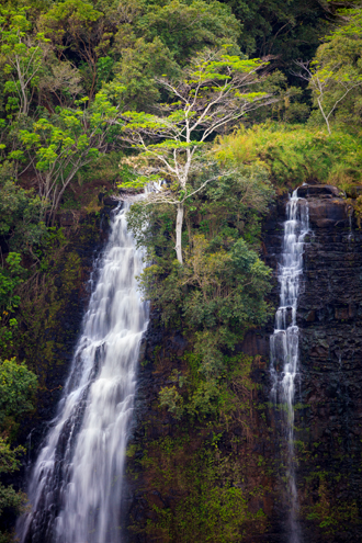 With rainfall year-round in plush green rainforests and jungles, waterfalls on Kauai are always flowing. 
