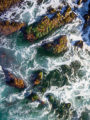 Aerial photo of the ocean waves washing around rocks and over a kelp forest. Shot with a drone camera.